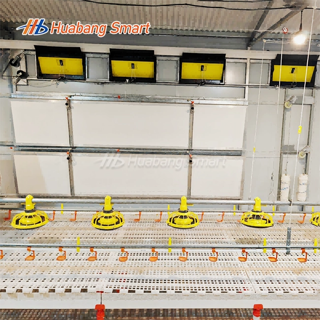 Automatic Feeder For Chicken